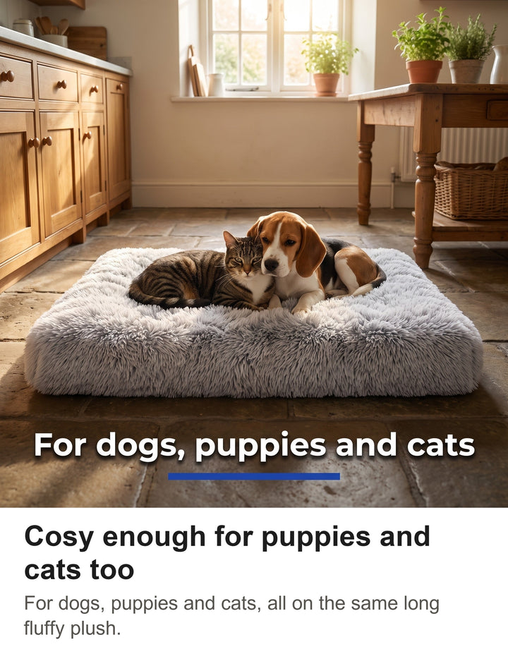 Beagle puppy and tabby cat snuggled together on the fluffy dog crate mat
