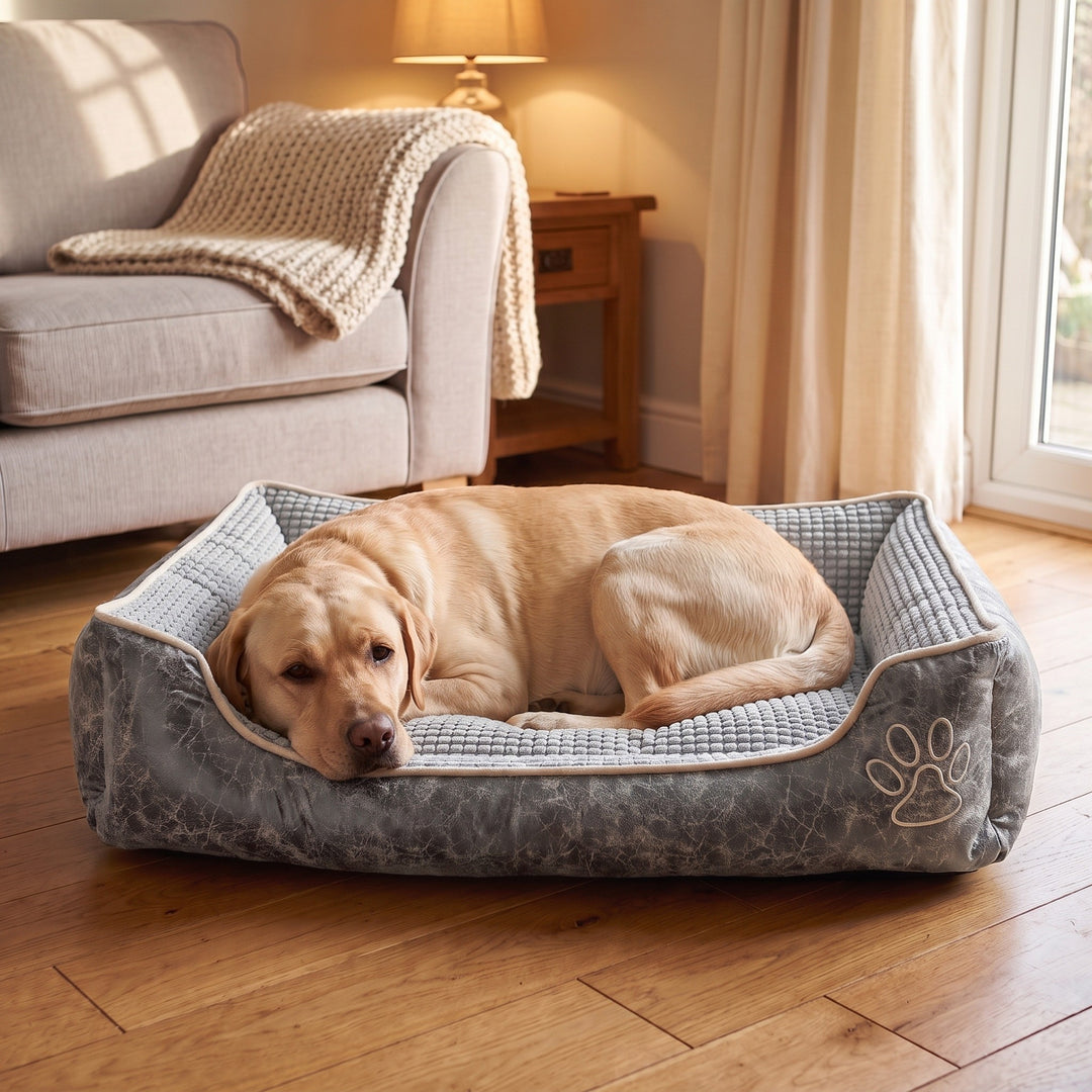 Yellow Labrador lying in the grey large dog bed with high padded sides in a warm UK living room