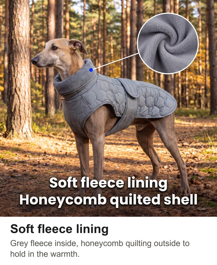 Greyhound in the dog fleece coat on a woodland path, close-up of the soft fleece lining
