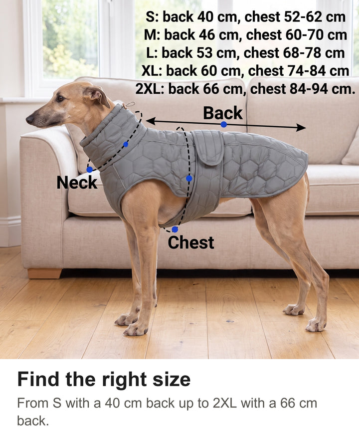 Dog fleece coat size guide with back length, chest and neck