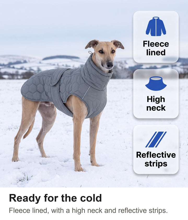 Greyhound in a snowy field wearing the fleece-lined dog winter coat