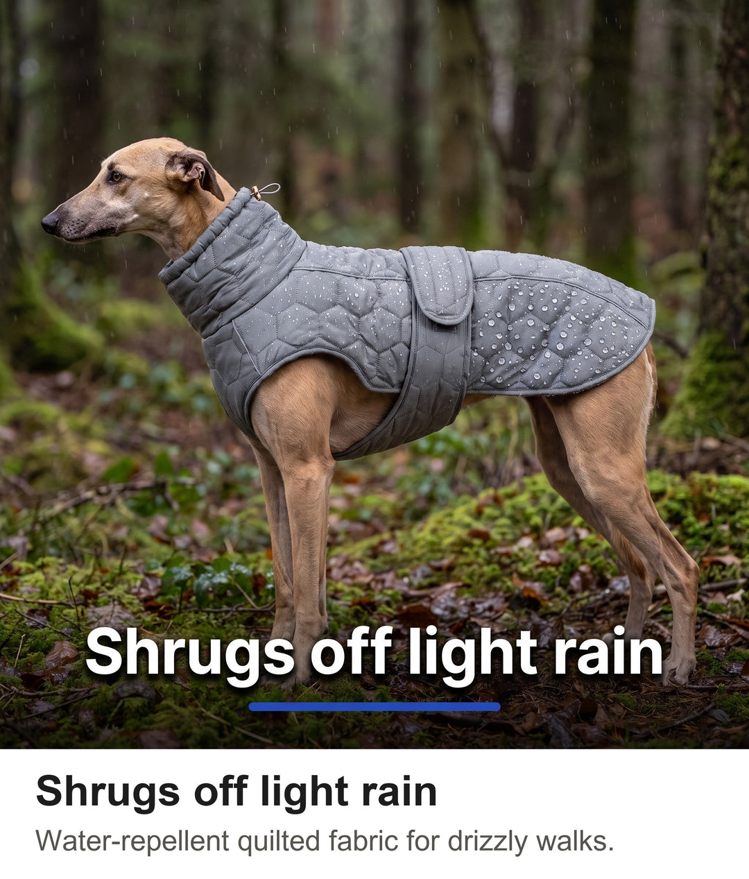Light rain beading on the water-repellent quilted dog coat