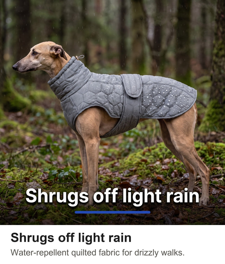 Light rain beading on the water-repellent quilted dog coat