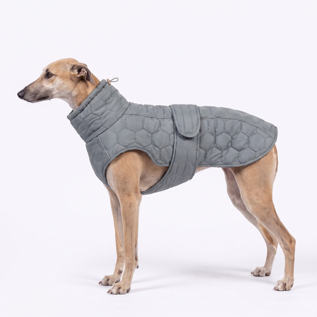 Greyhound wearing the grey quilted dog fleece coat with high neck