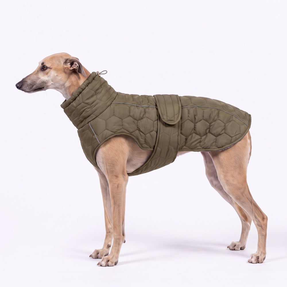 Greyhound wearing the olive quilted dog fleece coat with high neck