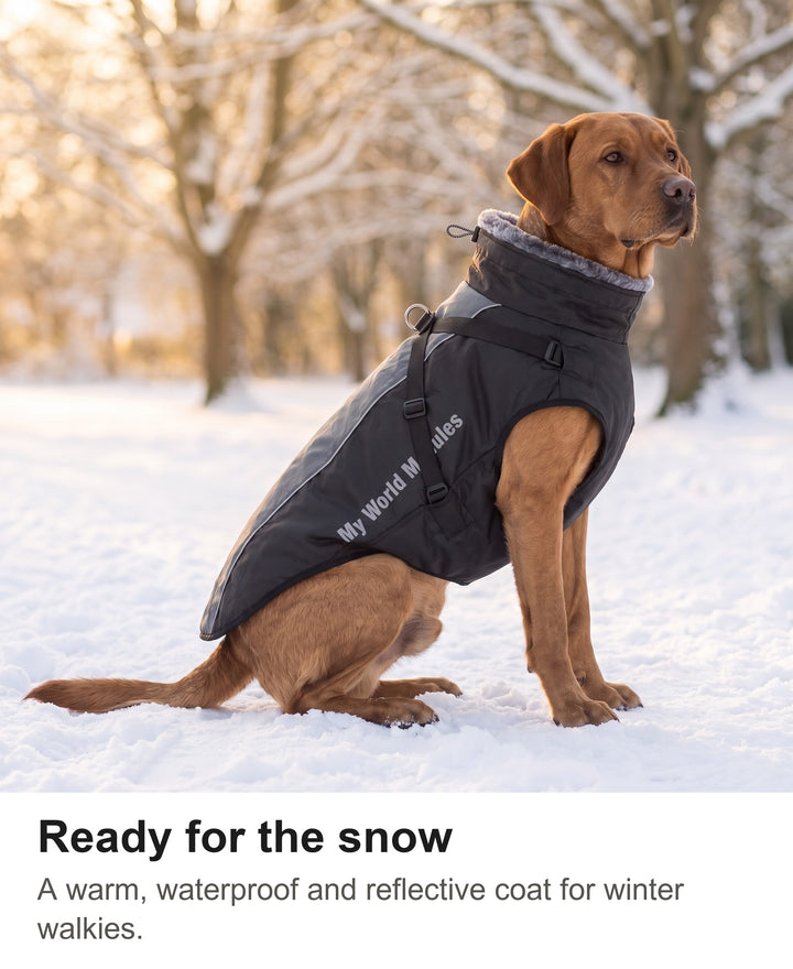 Labrador sitting in a snowy park wearing the waterproof winter dog coat