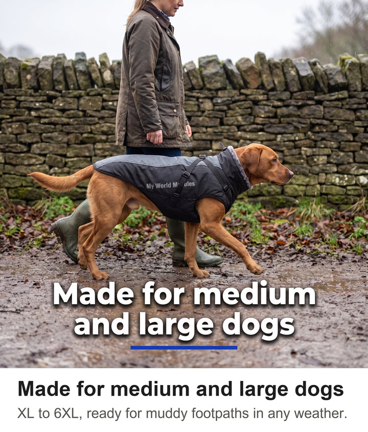 Woman walking a Labrador in the waterproof dog coat on a countryside footpath