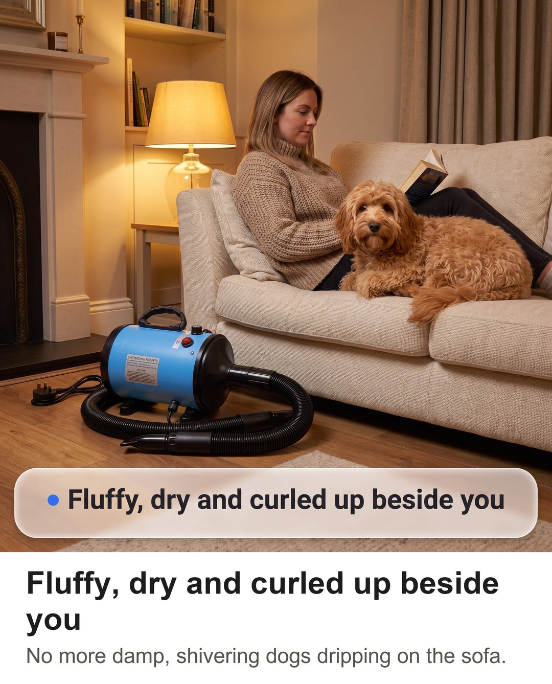 Fluffy dry Cockapoo curled up on a sofa beside its owner after a bath