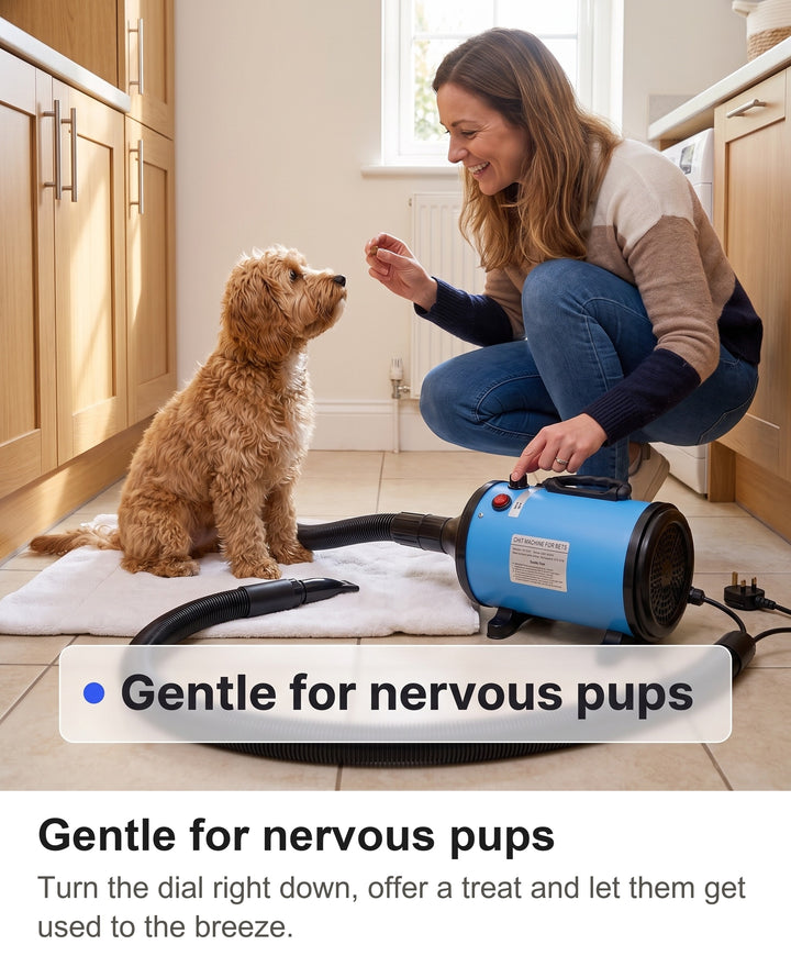 Woman turning the speed dial down and giving a treat to a small calm dog before drying