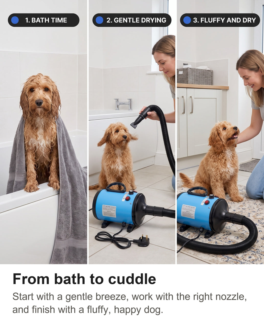Three steps drying a dog: wet after the bath, drying with the dryer, fluffy and dry