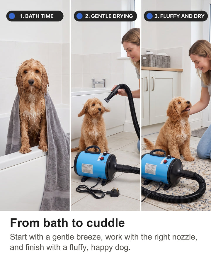 Three steps drying a dog: wet after the bath, drying with the dryer, fluffy and dry