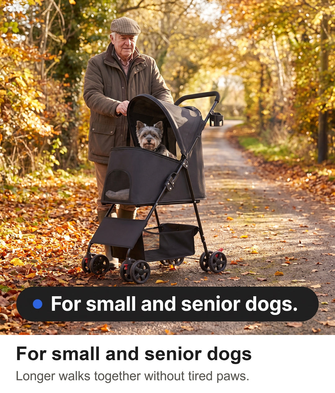 Older man pushing a senior Yorkshire Terrier in the dog pram on a country lane
