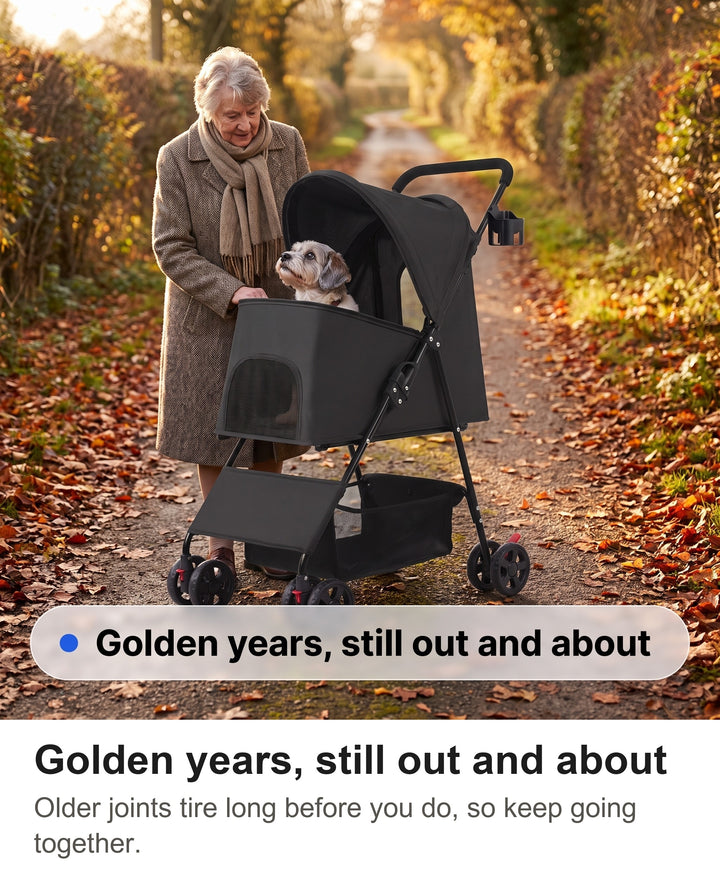 Elderly woman pushing a senior small dog in the folding dog pram on a country lane
