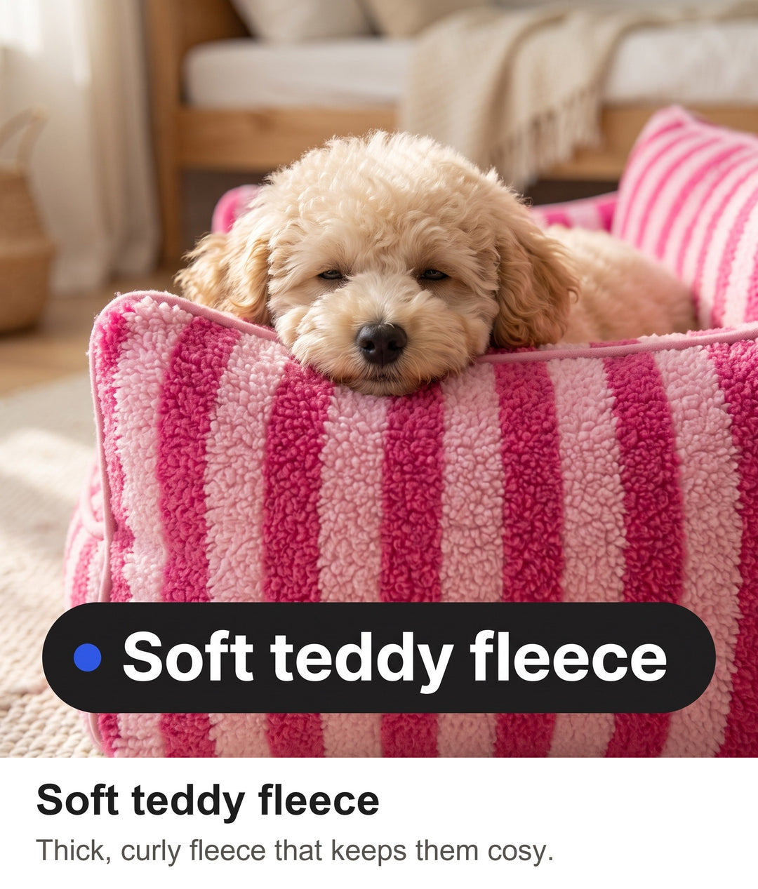 Toy poodle puppy resting its chin on the soft teddy fleece armrest of the striped dog sofa