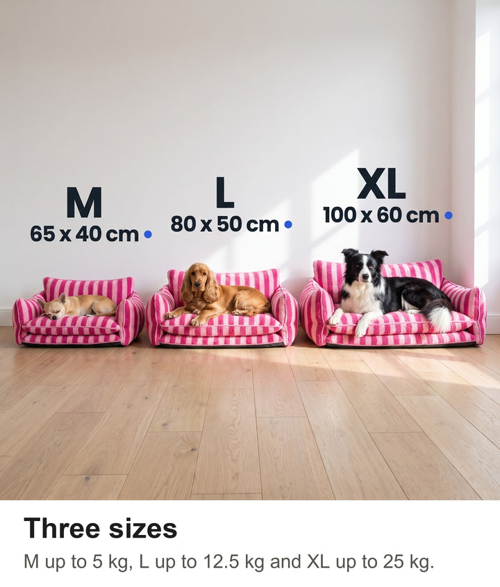 Striped dog sofa size guide showing M, L and XL with three dogs