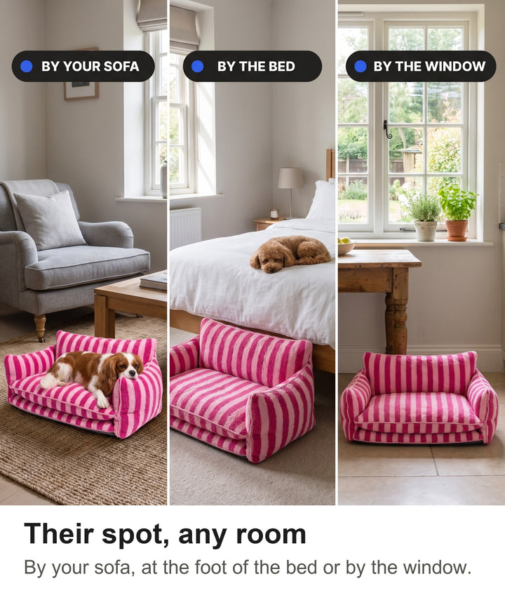 Striped dog sofa beside a sofa, at the foot of a bed and by a window