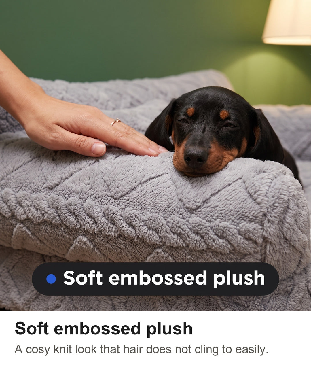 Dachshund puppy resting its chin on the soft embossed plush arm of the dog sofa bed