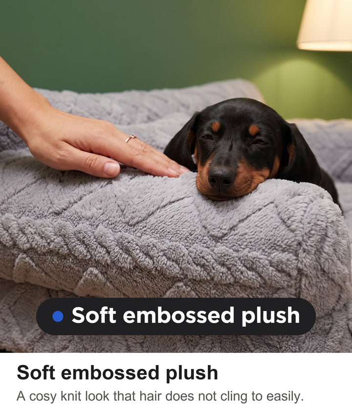 Dachshund puppy resting its chin on the soft embossed plush arm of the dog sofa bed