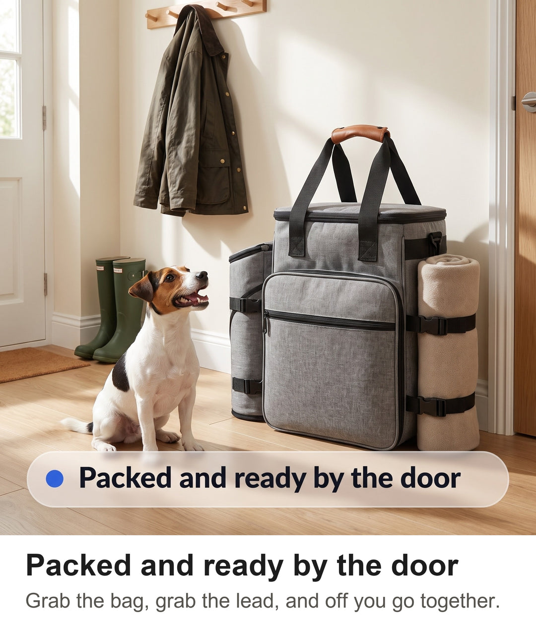 Jack Russell terrier sitting by the front door next to the packed grey dog walking bag