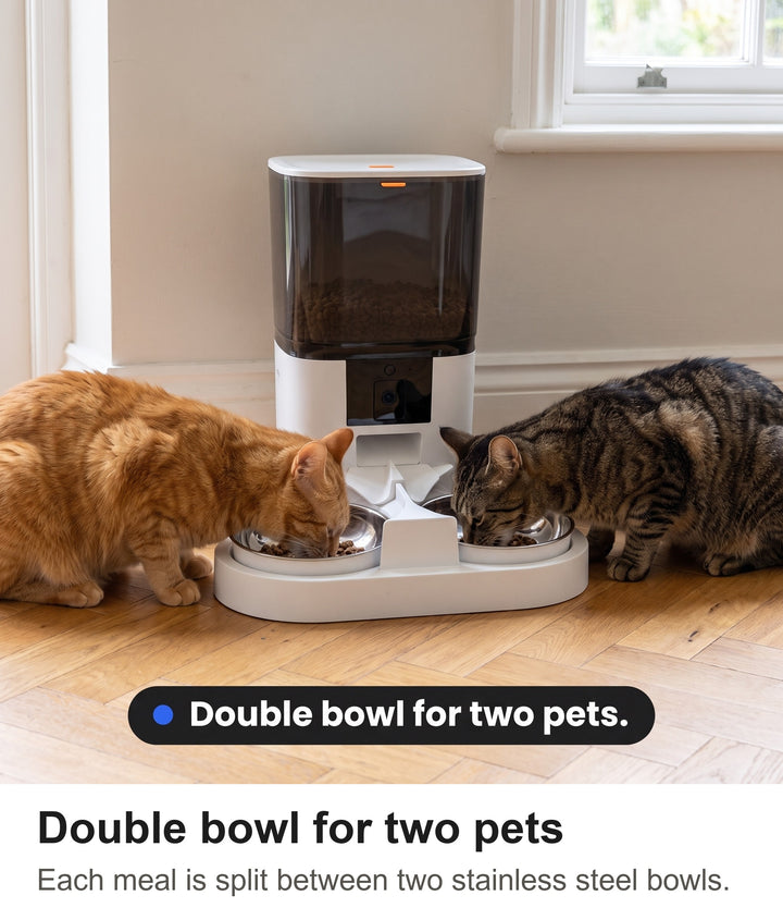 Two cats eating side by side from the double bowl automatic pet feeder