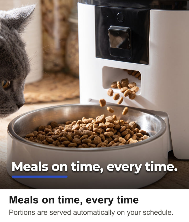 Automatic pet feeder dispensing kibble into the stainless steel bowl