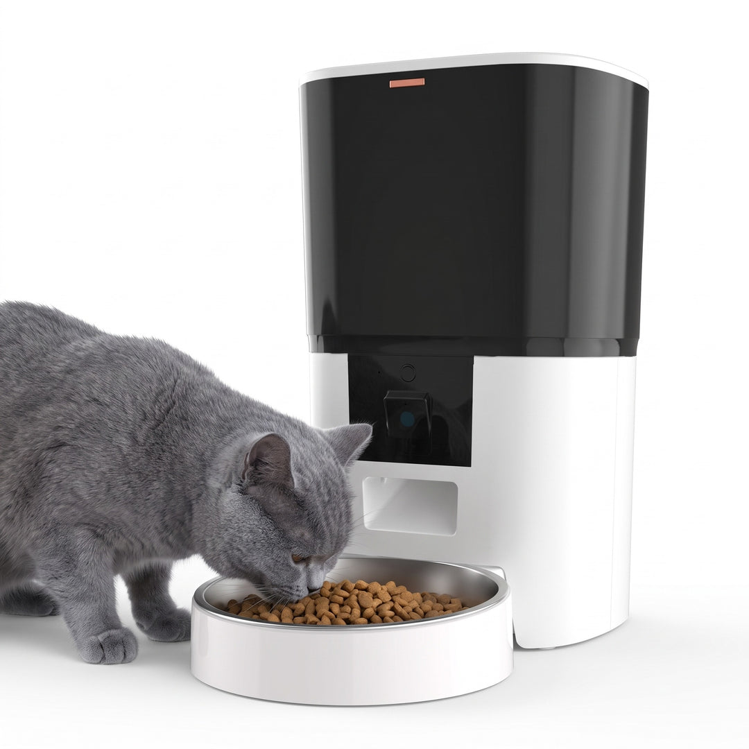 British Shorthair cat eating from the white automatic cat feeder with camera