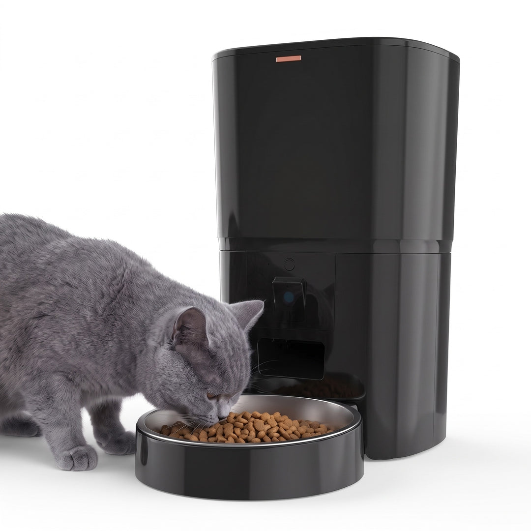 Cat eating from the black automatic cat feeder with camera