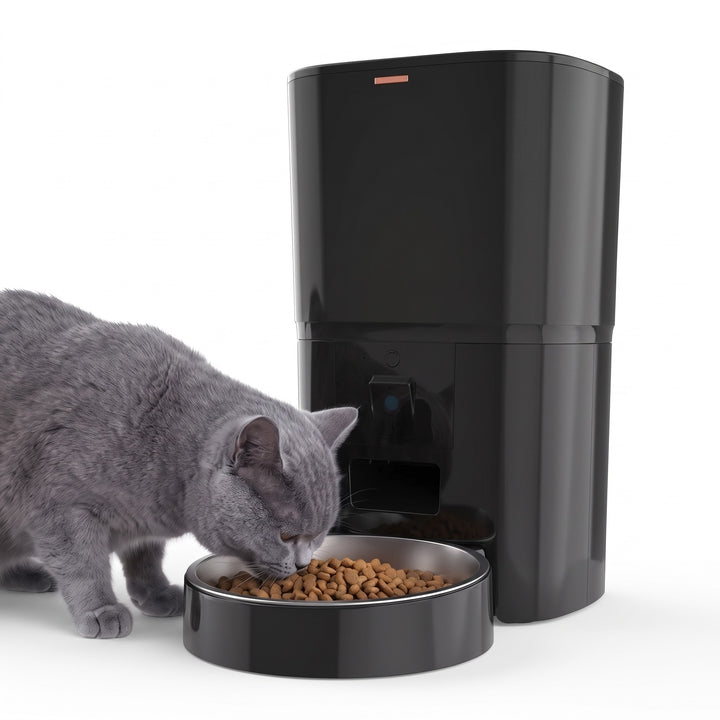 Cat eating from the black automatic cat feeder with camera