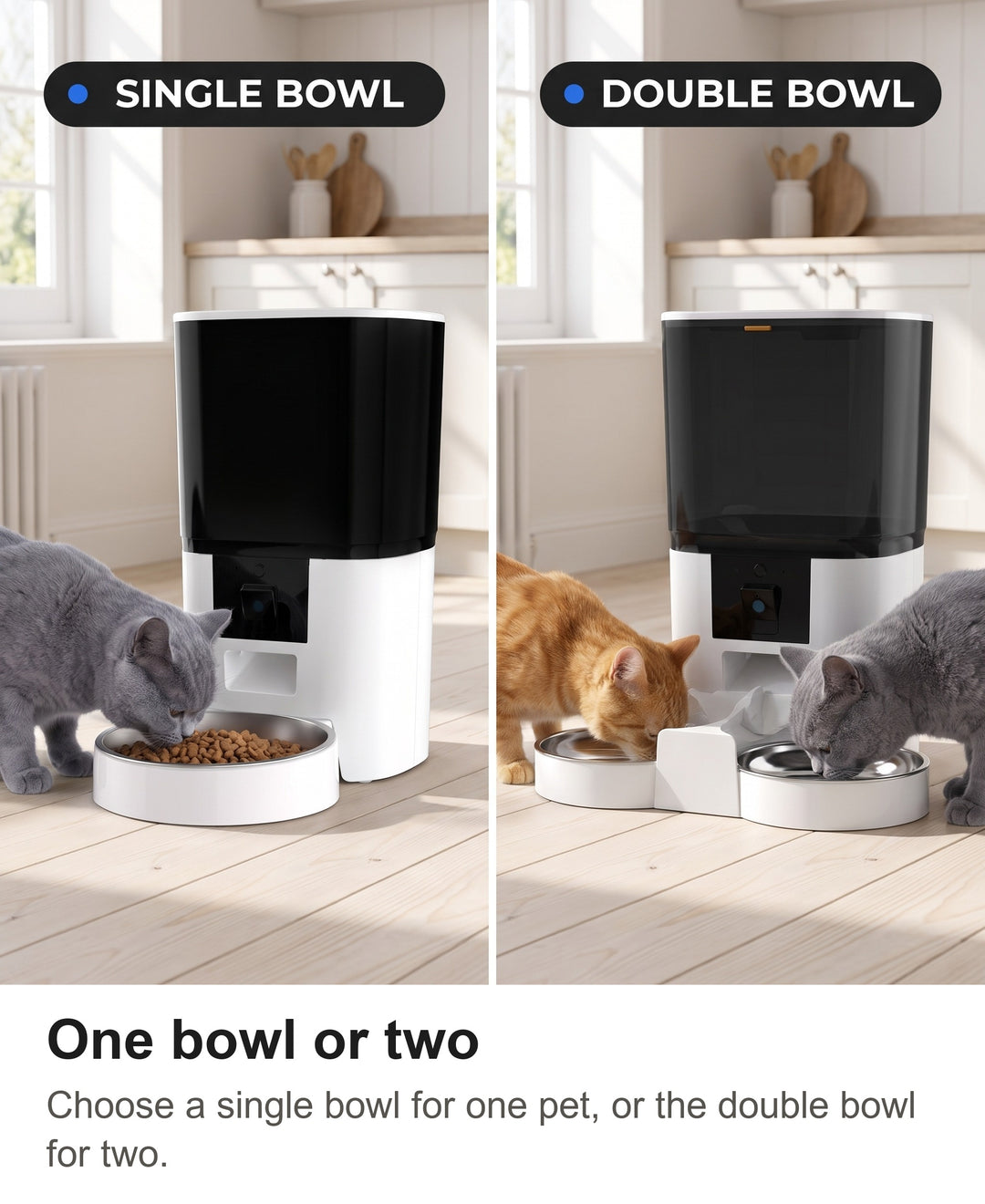 Single bowl and double bowl versions of the camera pet feeder