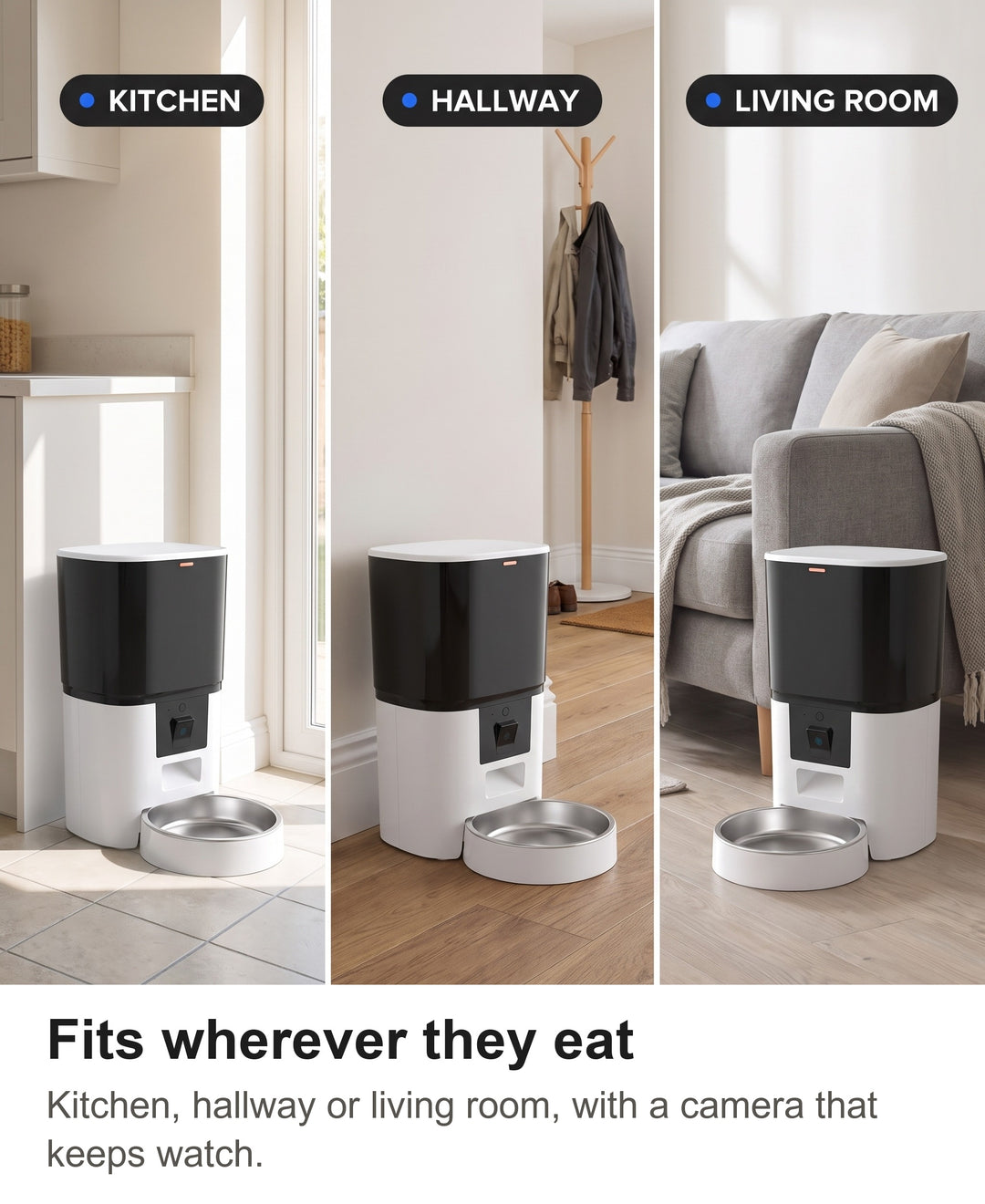 Camera pet feeder in a kitchen, a hallway and a living room
