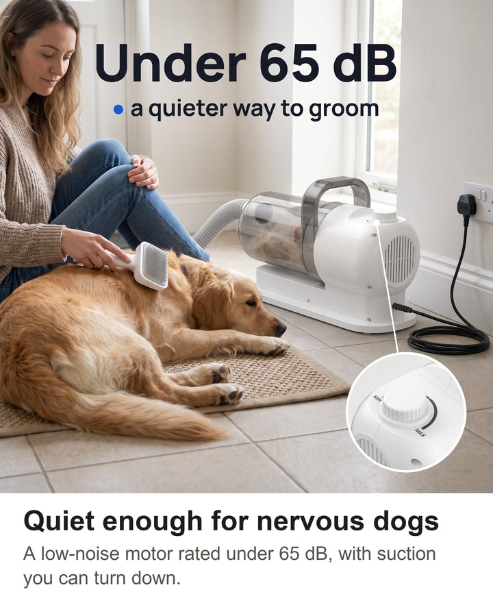 Golden retriever relaxed during grooming with the quiet vacuum and a zoom on the suction dial