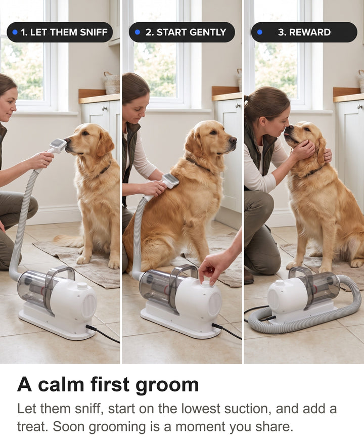 Three steps for a calm first groom: let the dog sniff the brush, start on low suction, reward with a treat