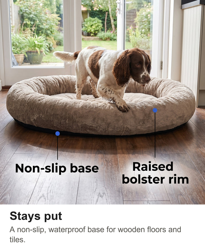 Springer spaniel stepping into the human dog bed with its non-slip base on a wooden floor