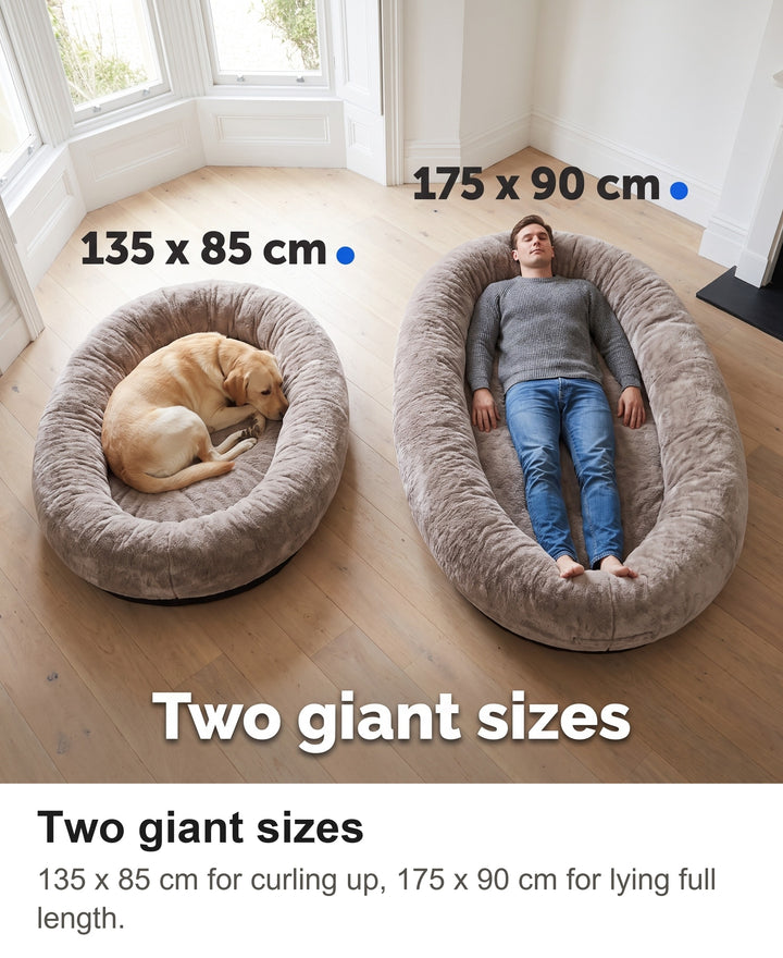 Human dog bed size guide showing the 135 x 85 cm and 175 x 90 cm sizes