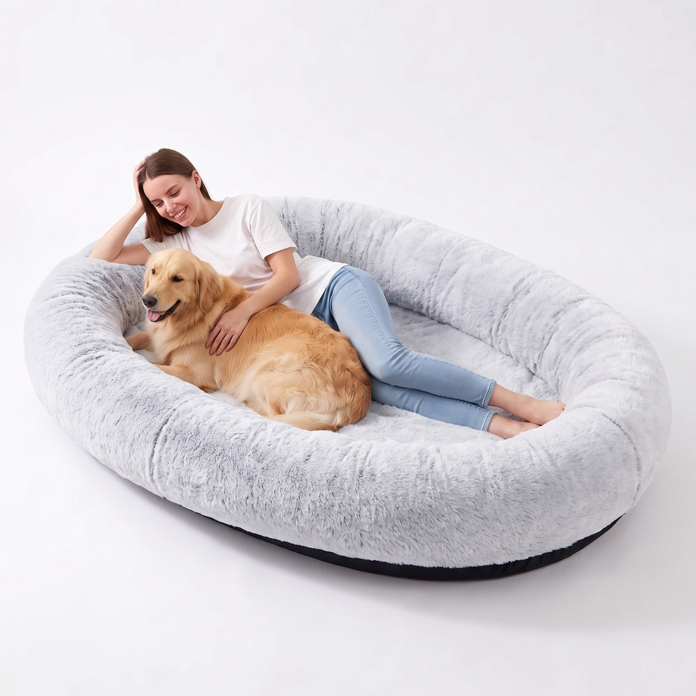 Woman and golden retriever lying together in the giant grey human dog bed