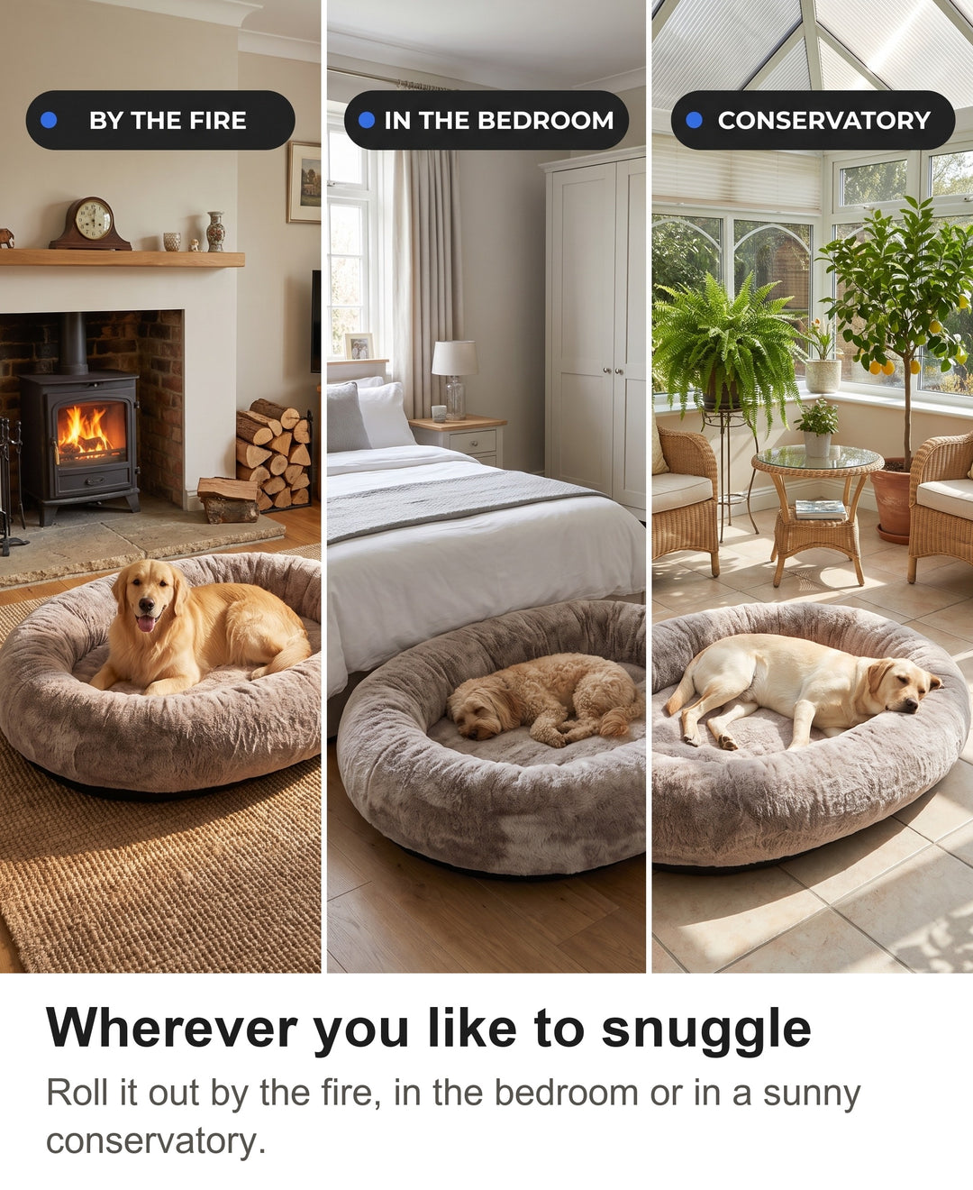 Giant human dog bed in a living room by a fireplace, a bedroom and a conservatory
