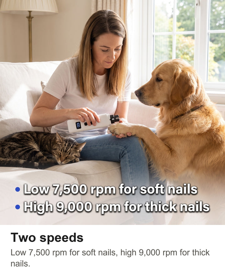 Nail grinder low speed for a cat claw and high speed for a dog claw
