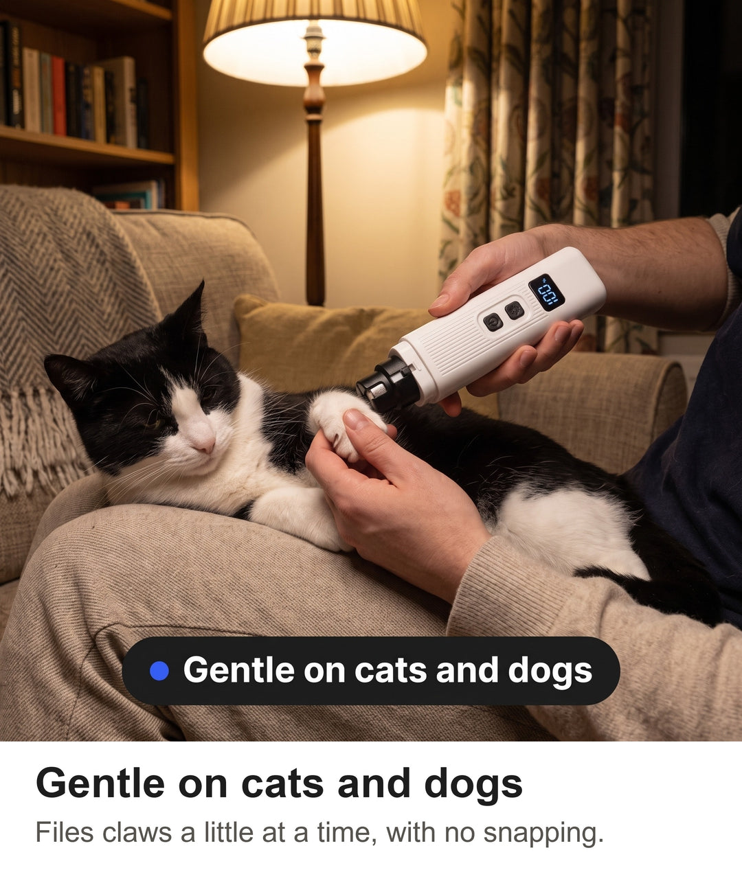 Owner filing a cat claw with the rechargeable nail trimmer on the sofa