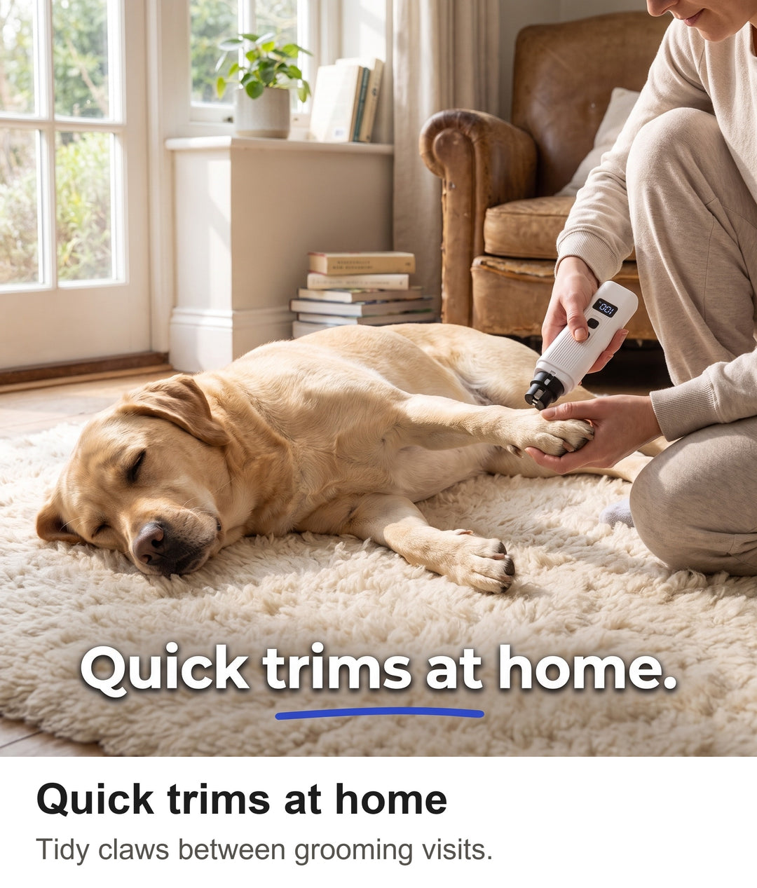 Owner trimming a Labrador claw with the dog claw grinder