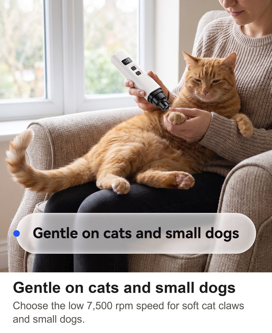 Woman filing the claw of a ginger cat on her lap with the white nail grinder