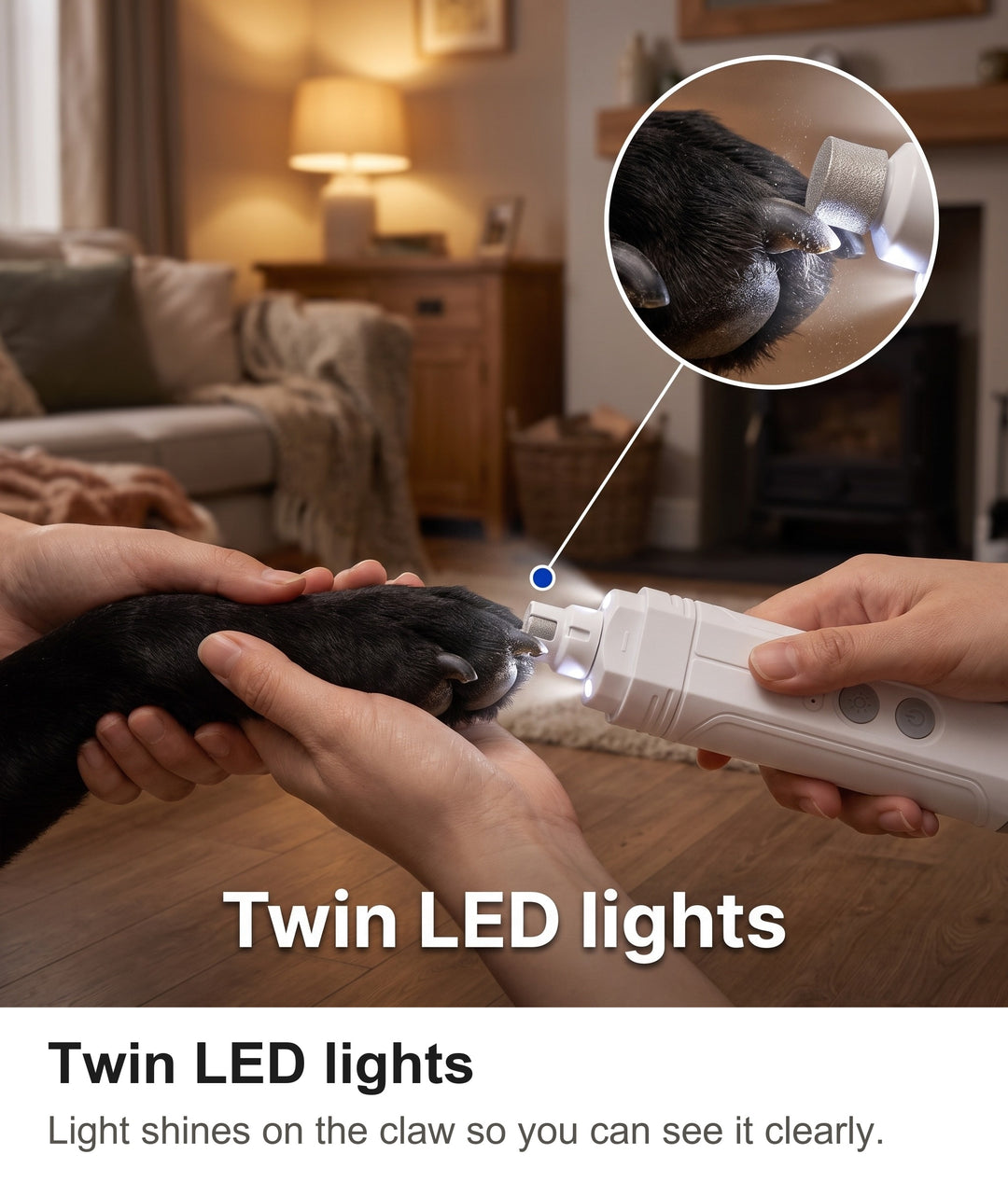 Nail grinder LED lights shining on a black Labrador claw