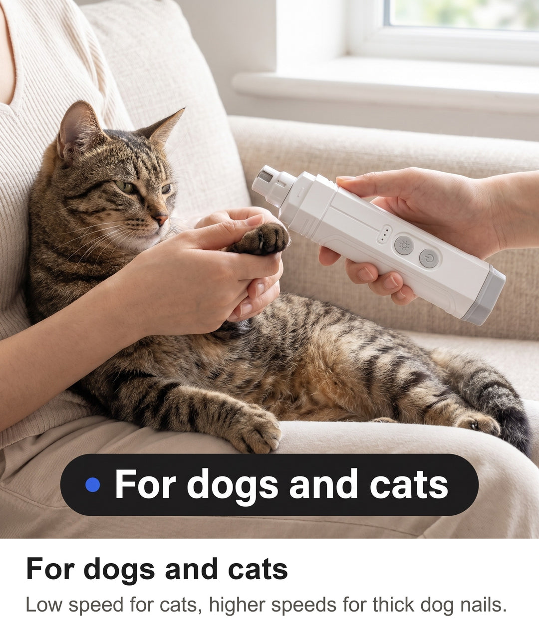Owner filing a tabby cat claw with the electric pet nail trimmer