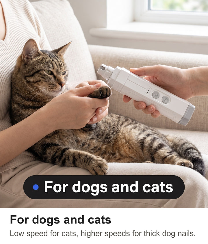Owner filing a tabby cat claw with the electric pet nail trimmer