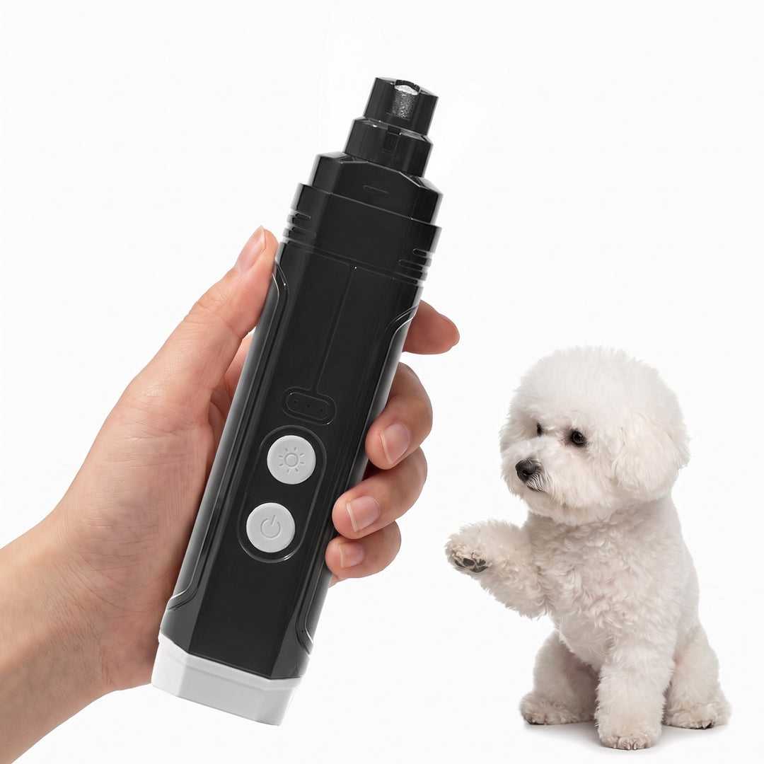 Black electric dog nail grinder with LED light filing a Bichon claw