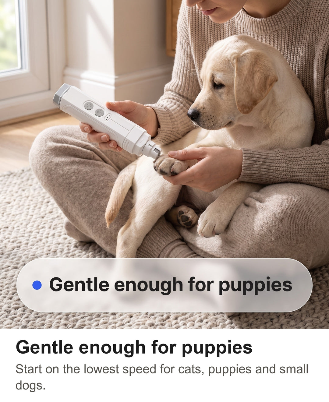Woman filing the claw of a Labrador puppy with the white nail grinder