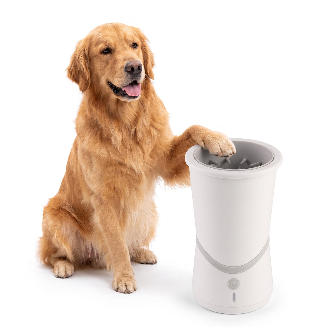 Golden Retriever resting a paw on the white automatic dog paw cleaner