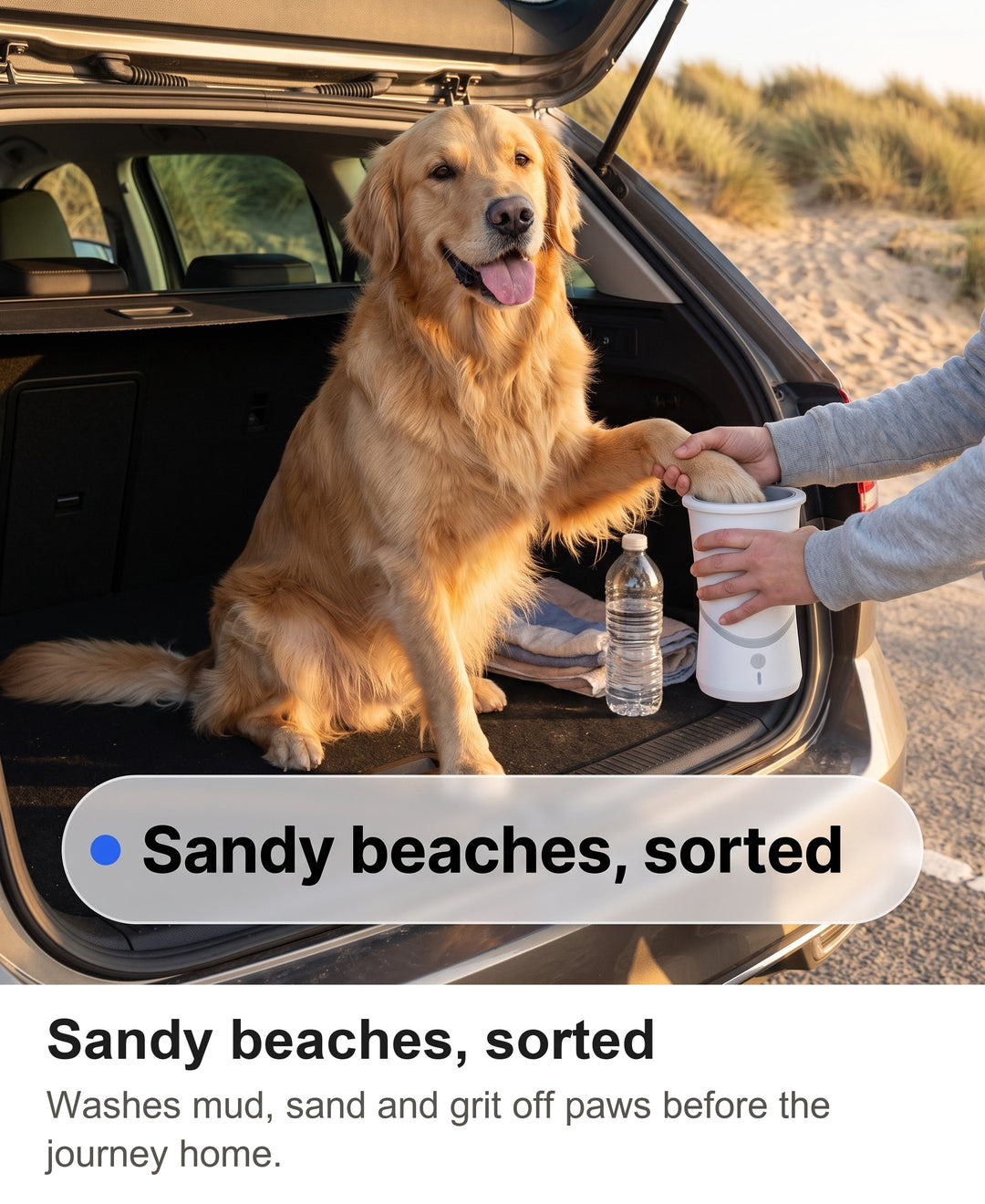 Golden Retriever offering a paw to the paw washer beside a car after a beach walk