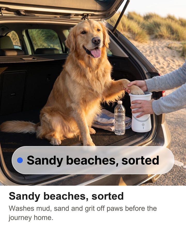Golden Retriever offering a paw to the paw washer beside a car after a beach walk