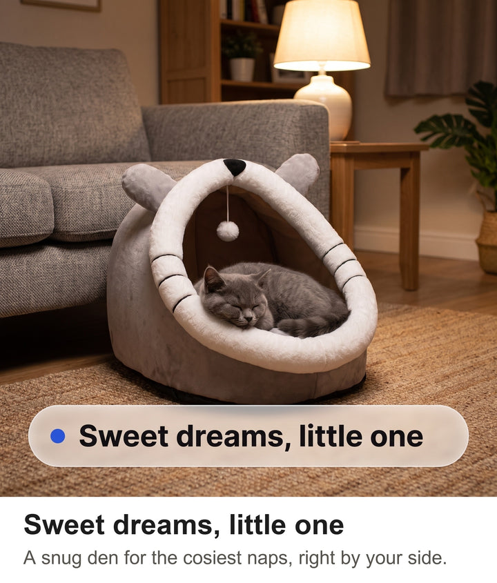 Grey cat asleep inside the cat igloo bed by lamp light in the evening