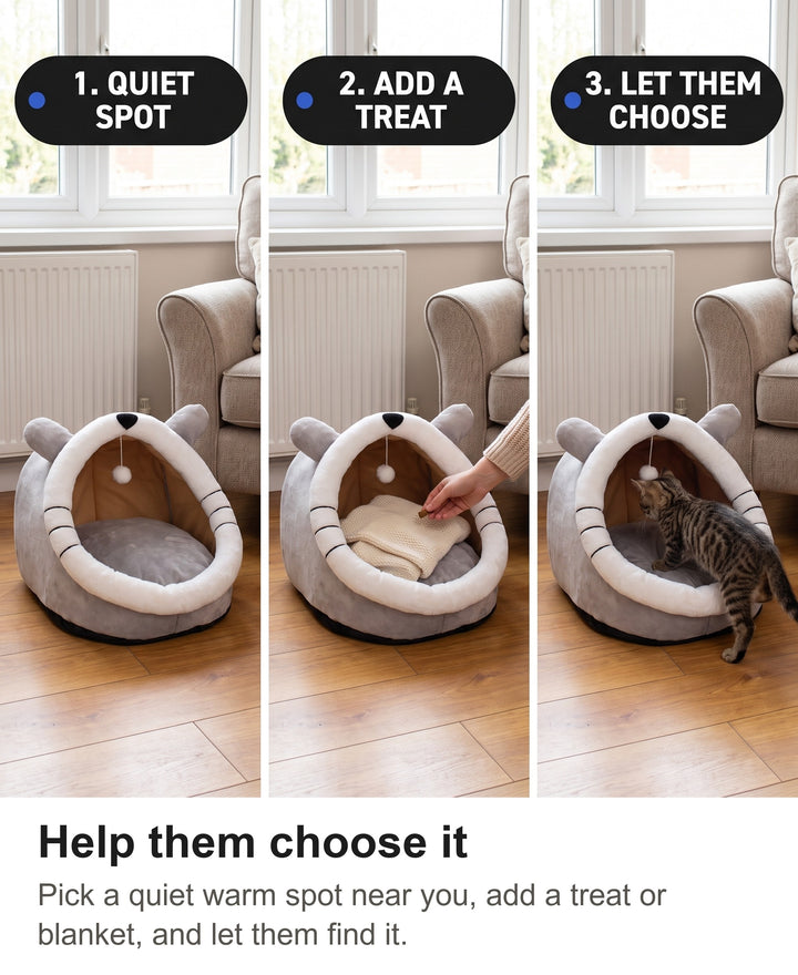 Three steps to introduce a cat to the cave bed: pick a quiet spot, add a blanket or treat, let them choose